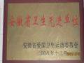 安徽省卫生先进单位